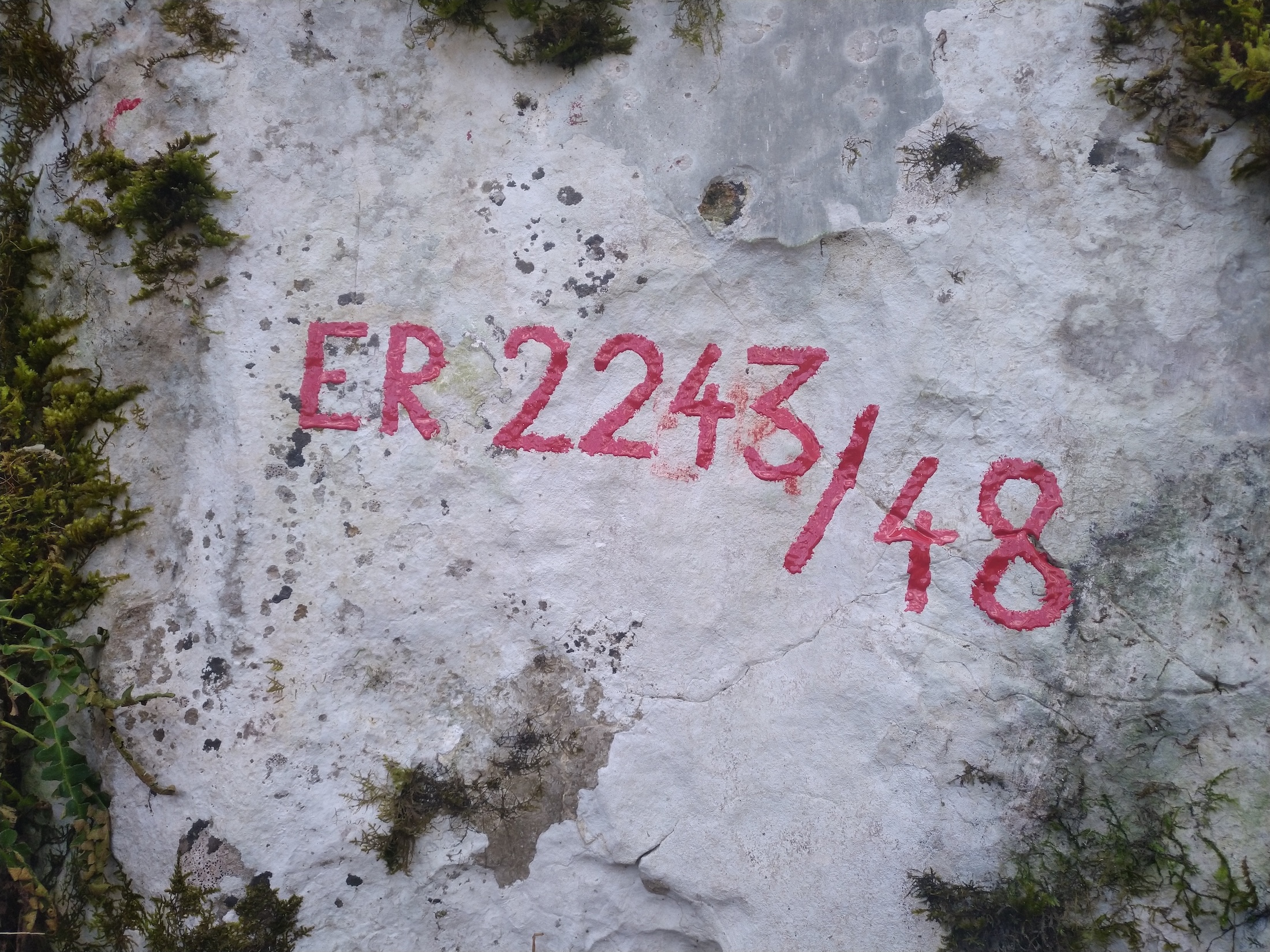 Peștera de sub Cleanț Nr.1 - Image 3